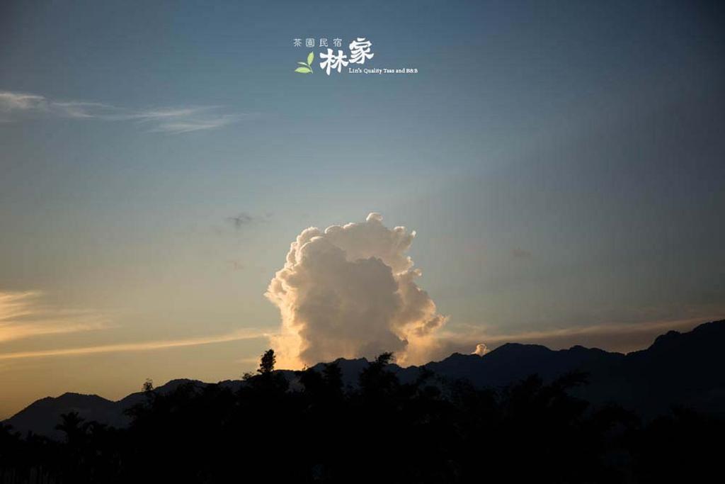 瑞穗林家茶园优质民宿 瑞穗乡 外观 照片